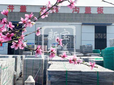 花滿枝頭，春意盎然